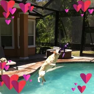 Meet your Posher, Linda